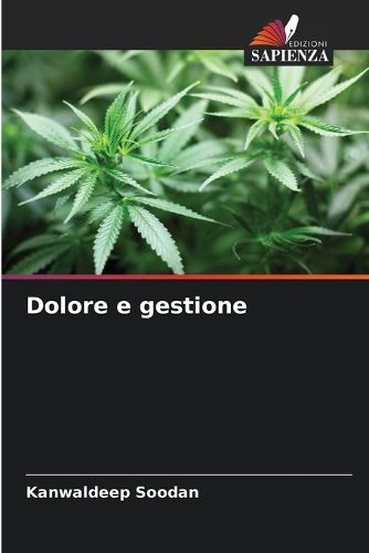 Cover image for Dolore e gestione