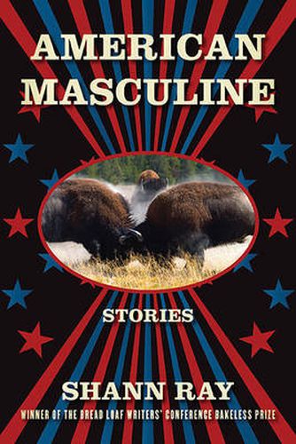 Cover image for American Masculine: Stories