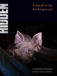 Cover image for Hidden: Animals in the Anthropocene