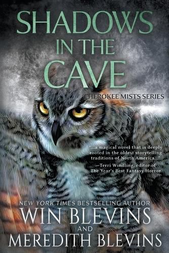 Cover image for Shadows in the Cave