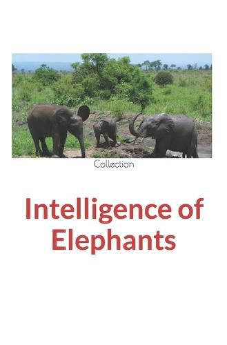 Cover image for Intelligence of Elephants