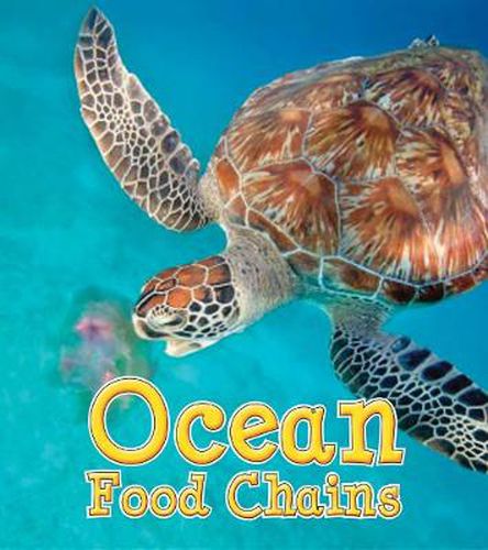 Cover image for Ocean Food Chains