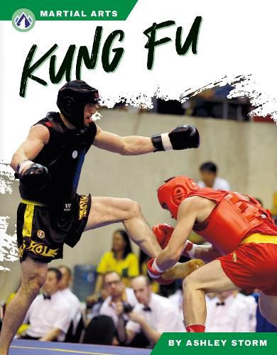 Cover image for Kung Fu