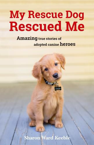 Cover image for My Rescue Dog Rescued Me: Amazing True Stories of Adopted Canine Heroes