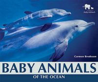 Cover image for Baby Animals of the Ocean