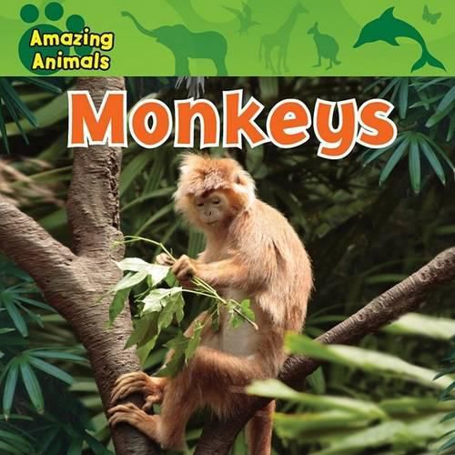 Cover image for Monkeys