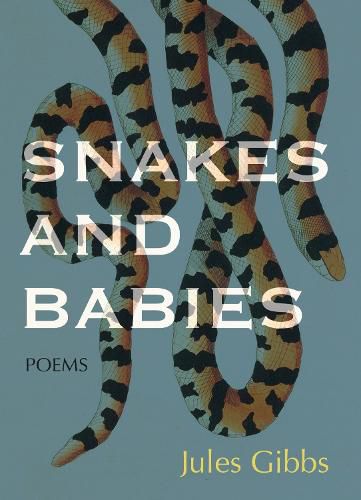 Cover image for Snakes and Babies: Poems