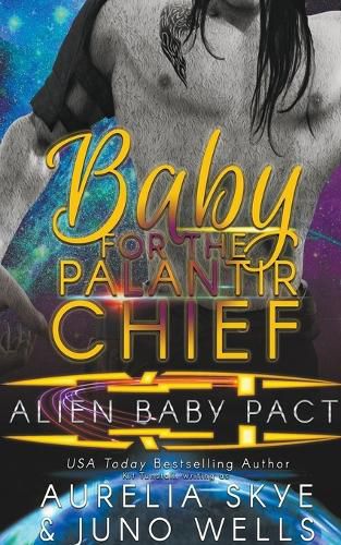 Cover image for Baby For The Palantir Chief