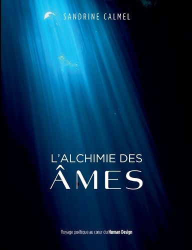 Cover image for L'alchimie des ames