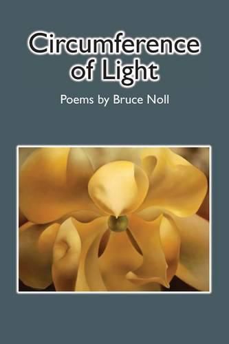 Cover image for Circumference of Light