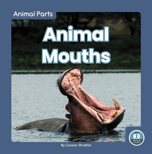 Cover image for Animal Parts: Animal Mouths