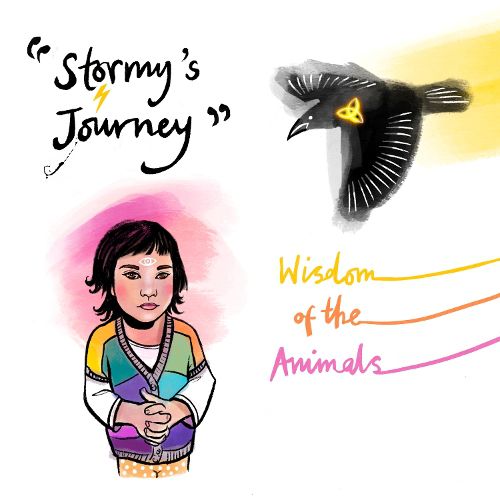 Cover image for Stormy's Journey