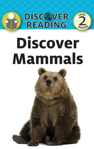 Cover image for Discover Mammals