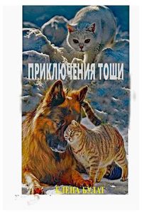 Cover image for &#1055;&#1088;&#1080;&#1082;&#1083;&#1102;&#1095;&#1077;&#1085;&#1080;&#1103; &#1058;&#1086;&#1096;&#1080;