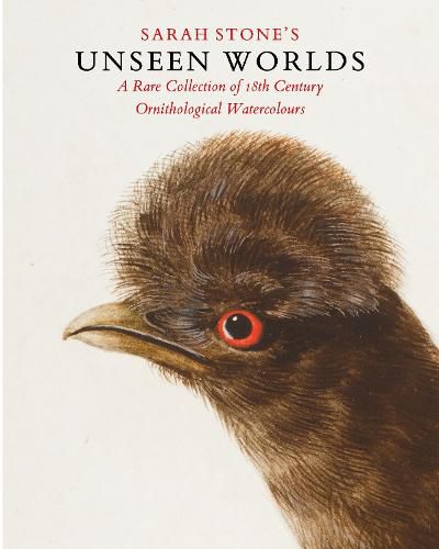 Cover image for Sarah Stone's Unseen Worlds