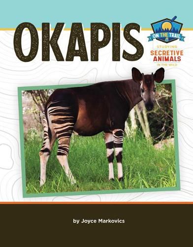 Cover image for Okapis