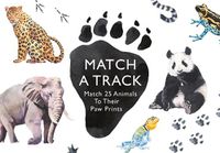 Cover image for Match a Track: Match 25 Animals to Their Paw Prints