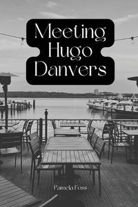 Cover image for Meeting Hugo Danvers