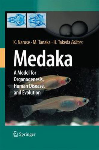 Cover image for Medaka: A Model for Organogenesis, Human Disease, and Evolution