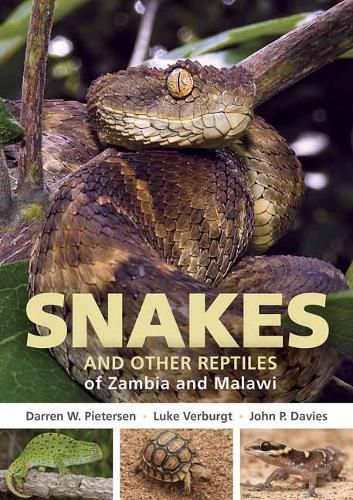 Cover image for Field Guide to Snakes and other Reptiles of Zambia and Malawi