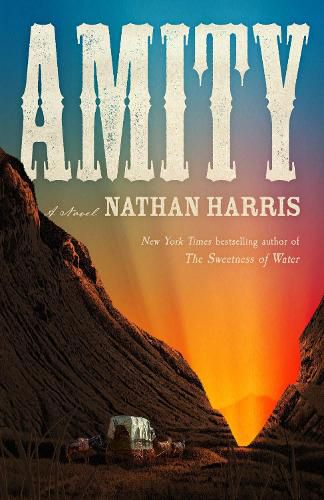 Cover image for AMITY
