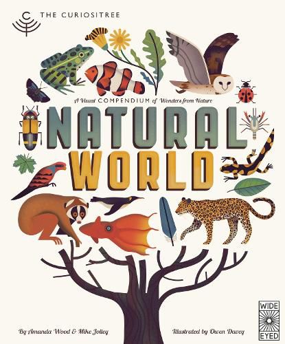 Cover image for Natural World: A Visual Compendium of Wonders from Nature 