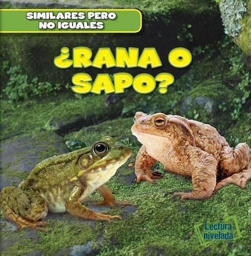 Cover image for ?Rana O Sapo? (Frog or Toad?)