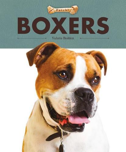 Cover image for Boxers