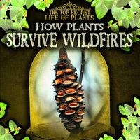 Cover image for How Plants Survive Wildfires