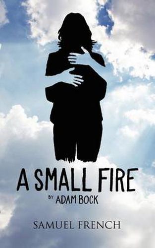 Cover image for A Small Fire