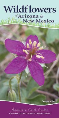 Cover image for Wildflowers of Arizona & New Mexico: Your Way to Easily Identify Wildflowers