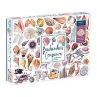 Cover image for The Beachcomber's Companion 1000 Piece Puzzle With Shaped Pieces