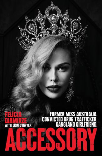 Cover image for Accessory