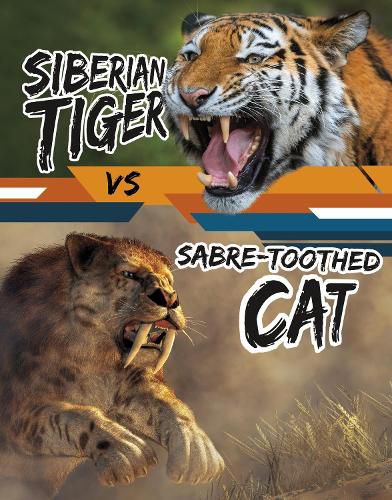 Siberian Tiger vs Sabre-Toothed Cat