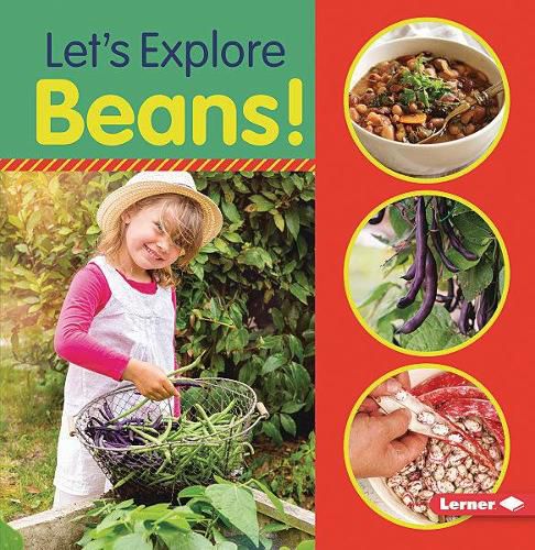 Cover image for Let's Explore Beans!