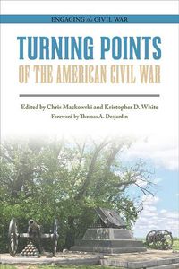 Cover image for Turning Points of the American Civil War