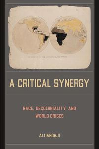 Cover image for A Critical Synergy