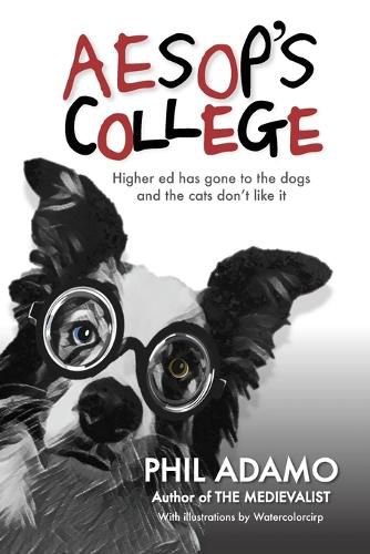 Cover image for Aesop's College