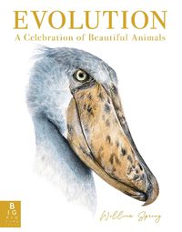 Cover image for Evolution: A Celebration of Beautiful Animals