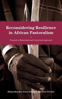 Cover image for Reconsidering Resilience in African Pastoralism