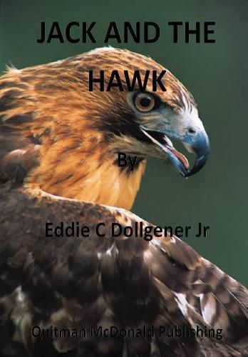 Cover image for Jack and the Hawk