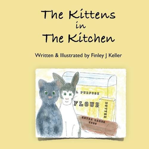 Cover image for The Kittens in The Kitchen