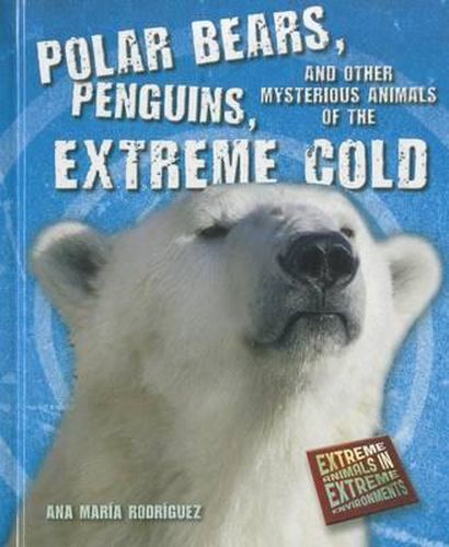 Cover image for Polar Bears, Penguins, and Other Mysterious Animals of the Extreme Cold