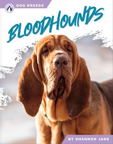 Cover image for Bloodhounds