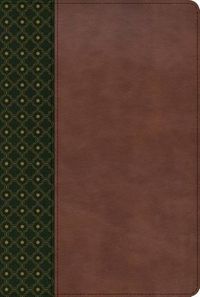 Cover image for RVR 1960 Biblia de Estudio Scofield, verde oscuro/castano simil piel