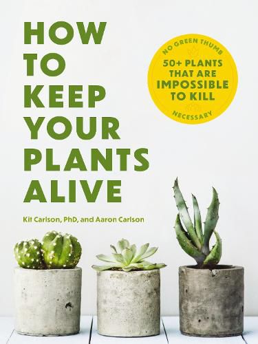 Cover image for How to Keep Your Plants Alive