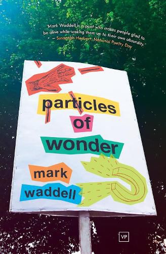 Cover image for Particles of Wonder