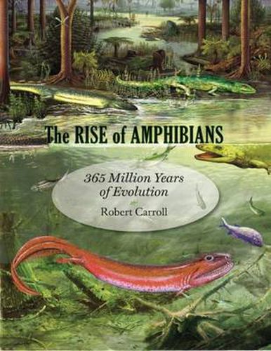 Cover image for The Rise of Amphibians: 365 Million Years of Evolution