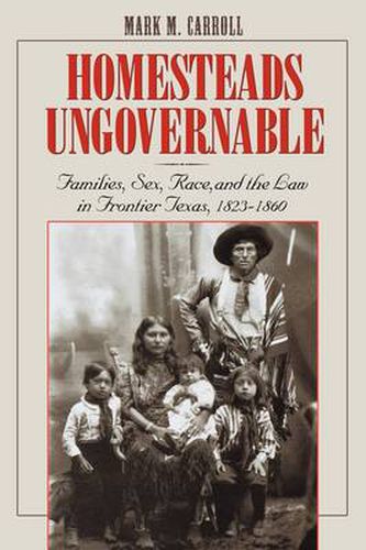 Cover image for Homesteads Ungovernable: Families, Sex, Race, and the Law in Frontier Texas, 1823-1860