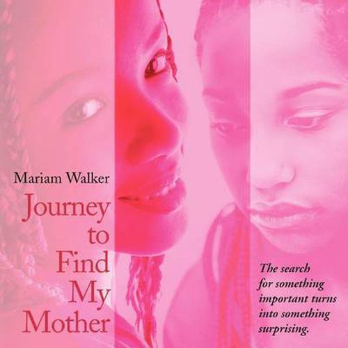 Cover image for Journey to Find My Mother